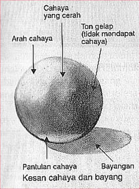 Majoriti cakap alaaaa cikgu , susahnya nak lukis gambar bunga ros. pendidikan seni visual: Asas Lukisan
