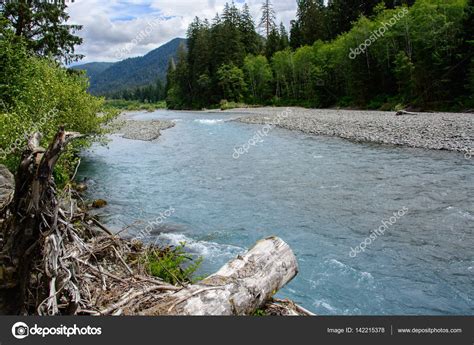 Broad Hoh River In Olympic National Park Washington Usa — Stock Photo