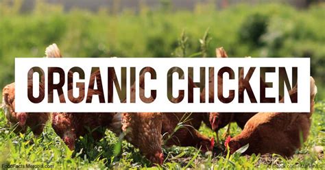 What Is Organic Pasture Raised Chicken Good For