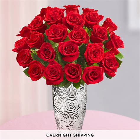 Two Dozen Red Roses Flowers And Plants Flowers Delivered