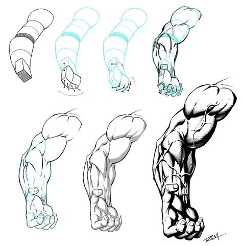 Stylized Arm Anatomy Step By Step By Robertmarzullo On Deviantart