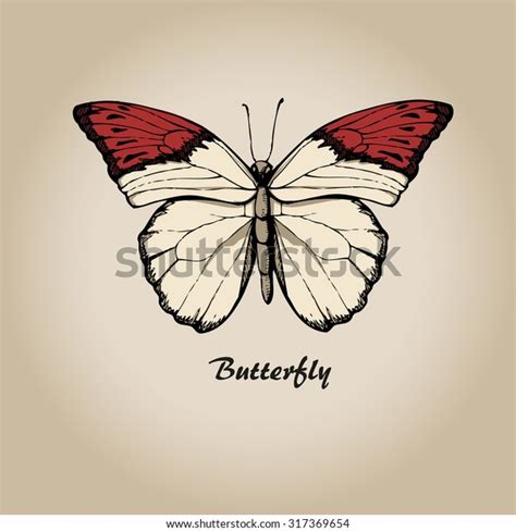 Butterfly Vector Insect Sketch Collection Design Stock Vector Royalty