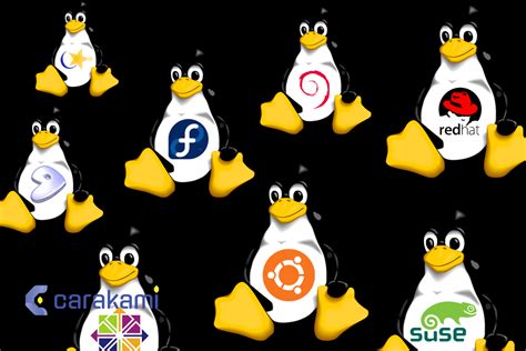 Pengertian Linux Sejarah Kelebihan Macam Macam Contoh Salamadian Vrogue