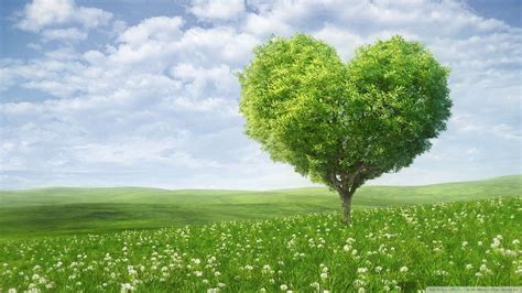 Love Nature Wallpapers Hd Wallpaper Cave
