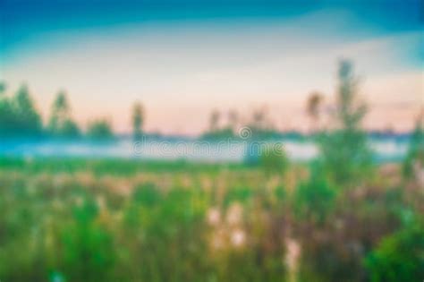 Blurred Meadow Background Stock Image Image Of Summer 51998089
