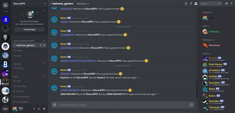 Voici Les Meilleurs Bot Pour Discord Et Comment ça Marche