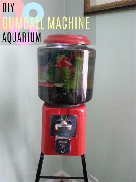 15 Awesome DIY Aquarium Ideas That Are Full Of Creativity