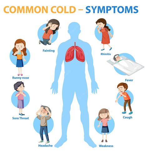 Free Vector Common Cold Symptoms Cartoon Style Infographic