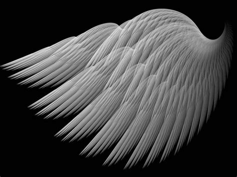 A Swans Wing By Thelma1 On Deviantart Swan Wings Wings Optical
