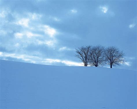 Snowy Desktop Backgrounds Wallpaper Cave