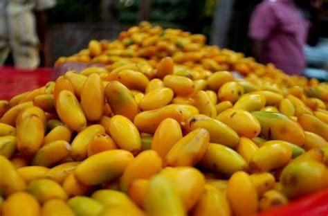 What Are The Best World Famous Fruits Grown In India Qries