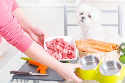 Dieta Barf Para Perros Ingredientes Cantidades Y 5 Recetas
