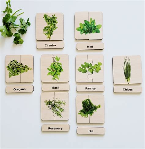 Herbs Self Correcting Puzzle Mirustoys