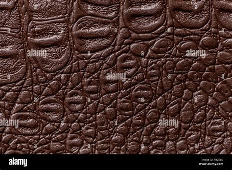 Brown Leather Texture Background Closeup Dark Umber Reptile Skin