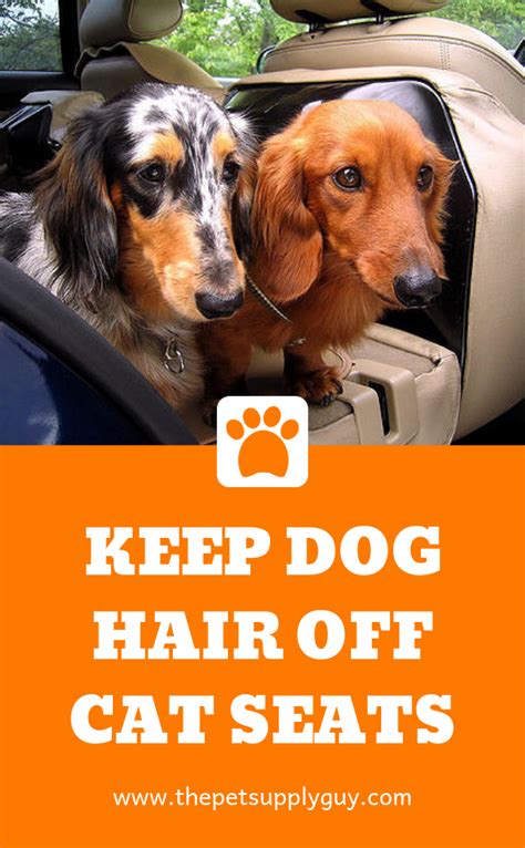 As i mentioned, there are many different products on the market that claim to reduce shed pet hair from clothing, upholstery and furniture. How to Keep Dog Hair Off Car Seats - The Pet Supply Guy ...