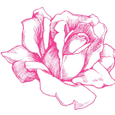 Products - RoseBar - Roses Arrangements and Gifts Wrap