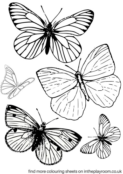 Getting the butterfly coloring page free printable or online free is so easy. Free Printable Butterfly Colouring Pages - In The Playroom