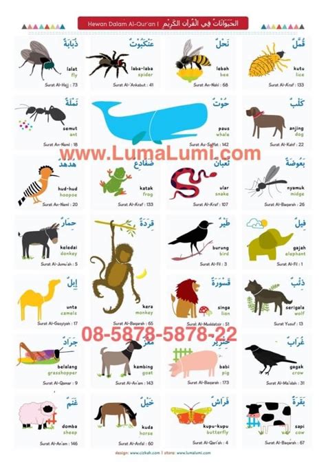 Nama Binatang Dalam Bahasa Arab