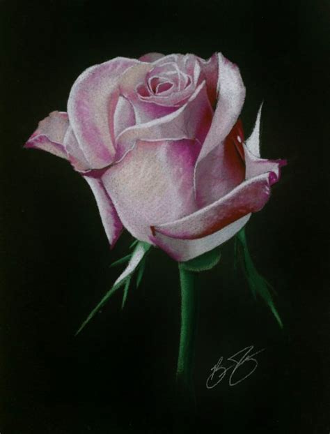 Colored Pencil Drawings What to consider before buying a drawing pencil: