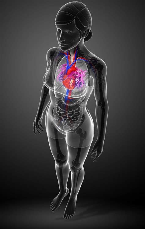 Patients with rheumatoid arthritis in china have similar prevalence of comorbidities with other in china, rheumatoid arthritis has an estimated prevalence of 0.42%, affecting more than 5 million. Acupuncture Reduced Coronary Heart Disease Risk in FM ...