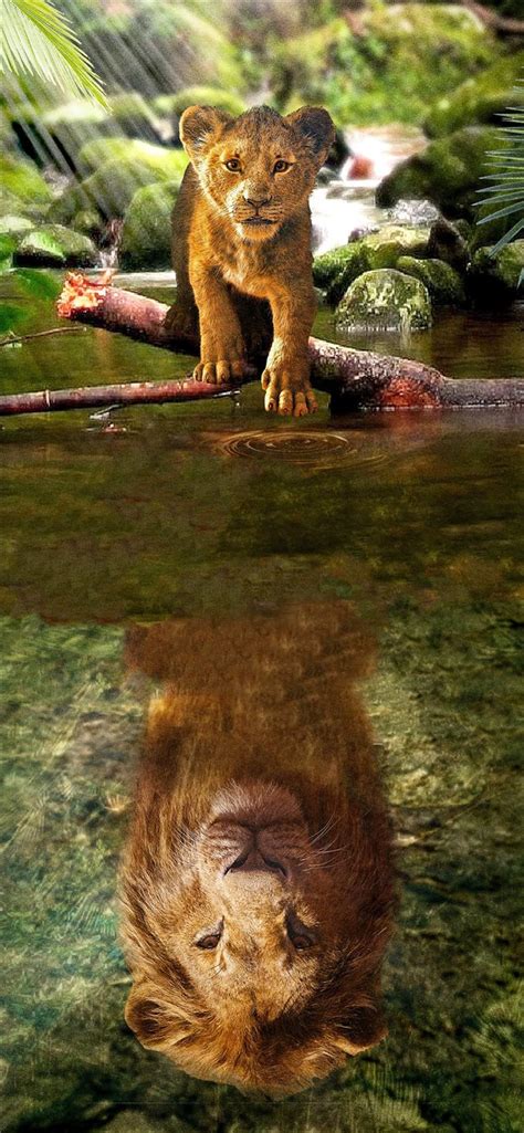 Lion king wallpaper for bedroom. The lion king simba 2019 iPhone 11 wallpaper - Cool ...