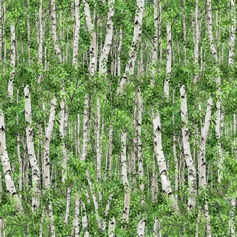 Landscape Medley~birch Trees Floral Cotton Fabric By Elizabeths Studio