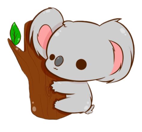 Cute Koala Png High Quality Image Free Png Pack Download
