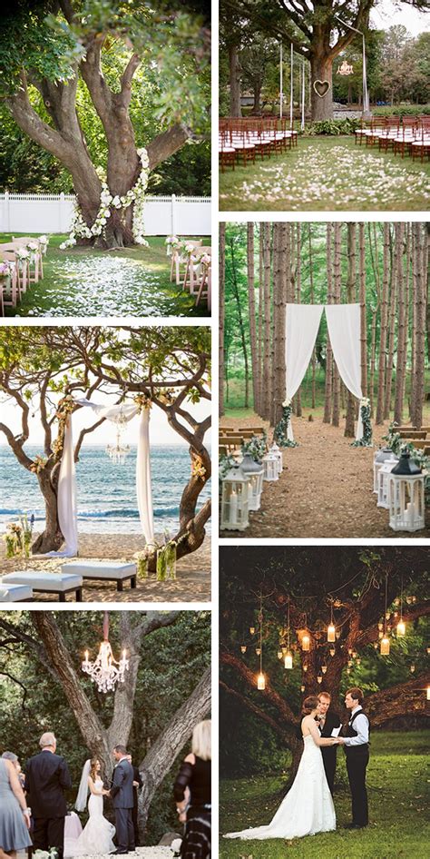 Outdoor Wedding Ceremony Under A Tree The Destination