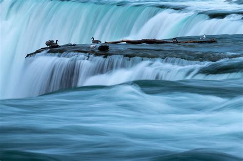 Plan your visit to niagara falls with www.niagarafallslive.com. Living life on the edge!!! @ Niagara Falls | Niagara falls ...