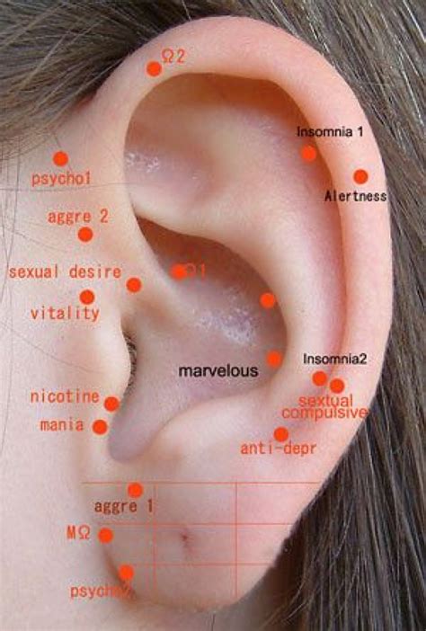 Ear Points For Acupuncture Chart
