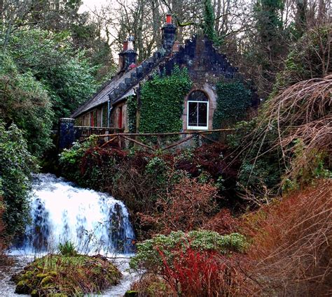 It is also possible to rent the cabin in the woods on apple itunes, google play movies, vudu, amazon video, microsoft store, youtube, redbox, amc on demand. Hidden Scottish woodland cottage and waterfall ...
