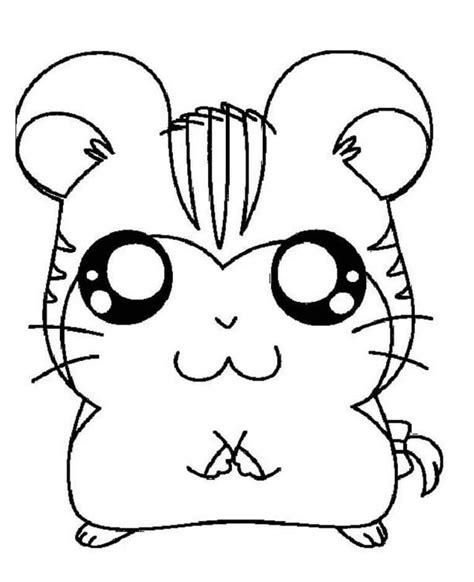 Desenhar Hamster Para Colorir Imprimir E Desenhar Colorir Me