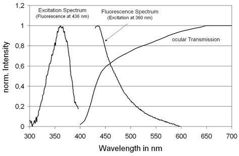 5 Excitation And Emission Spectra Of Melanin In Relation To The Ocular