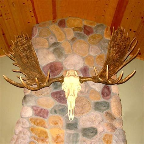 New & vintage garden accessories, statuary, sculpture European Moose Mount | European mount, Moose, Camping fun