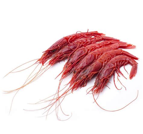 At the end of the tail there are two fins; Spanish Scarlet "Carabineros" Prawns (U4 - Extra Colossal ...