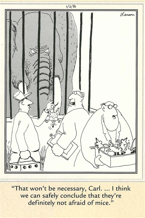 Top 20 The Far Side Comics That Will Make You Feel Good For Sure Now