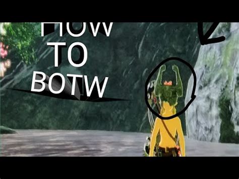 This video shows you how to get and use the twilight bow in zelda breath of the wild. How To Get Twilight Relic-BOTW - YouTube