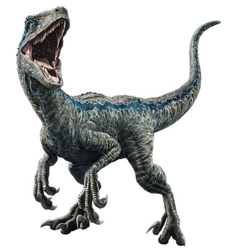 Velociraptor Sega Jurassic World Park Blue Raptor Dinosaurio 79900 En Mercado Libre