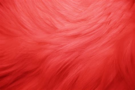 Red Fur Texture Picture Free Photograph Photos Public Domain