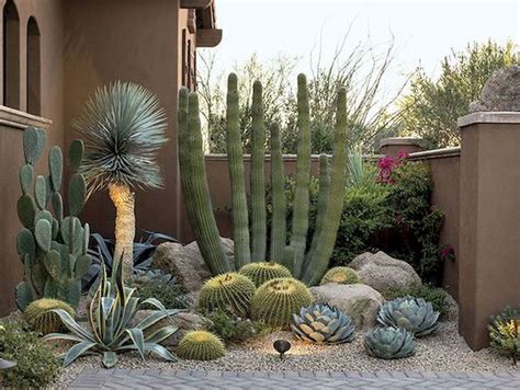 Best Ways To Makes Backyard Cactus Garden Ideas Decoomo