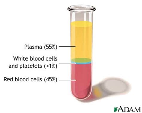 facts-about-blood-blood-cells-facts-function-of-whole-blood,-function-platelets,-function-red