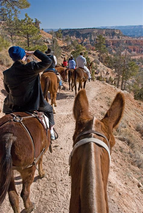 4 7 12 28 Bryce Canyon Mule Ride Gary Warren Niebuhr Flickr