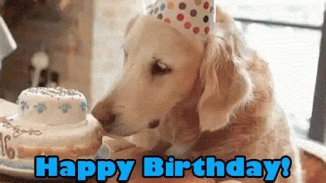 We did not find results for: Happy Birthday Golden Retriever GIF - HappyBirthday ...