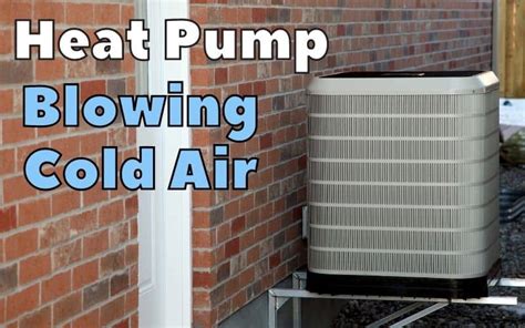 Why Is My Heat Pump Blowing Cold Air How To Fix It Hot Sex Picture