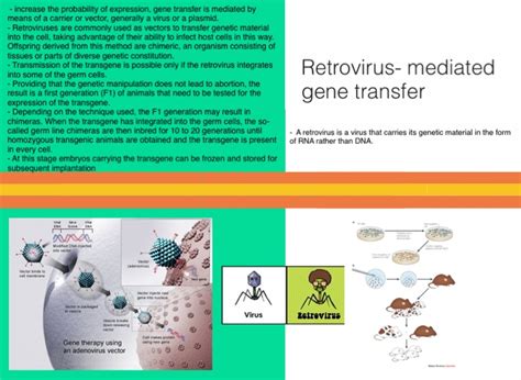 Transgenic animals - Screen 6 on FlowVella - Presentation ...