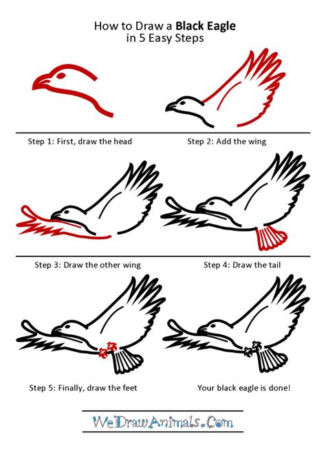 Https://tommynaija.com/draw/how To Draw A Black Eagle