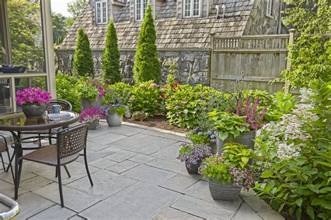 Includes quilt and two pillow shams (twin has 1 sham). Meteor Shower® - Verbena bonariensis | Proven Winners