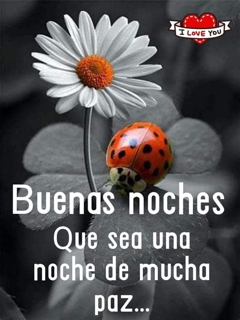 A Ladybug Sitting On Top Of A Flower With The Words I Love You