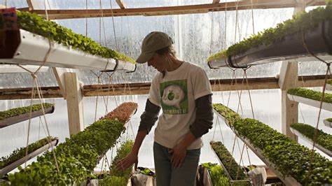 See more ideas about greenhouse, greenhouse plans, diy greenhouse. Solar Heating for Your Greenhouse - Cooling heating services