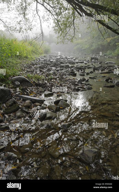 Rocky Riverbed High Resolution Stock Photography And Images Alamy